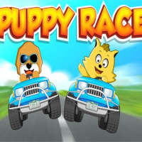 Puppy Race